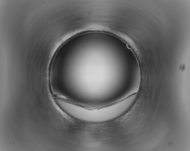 X0000090871335200708171618