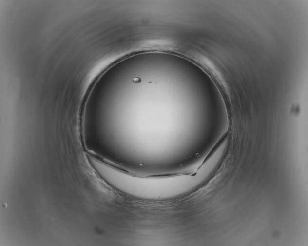 X0000090871336200708171618