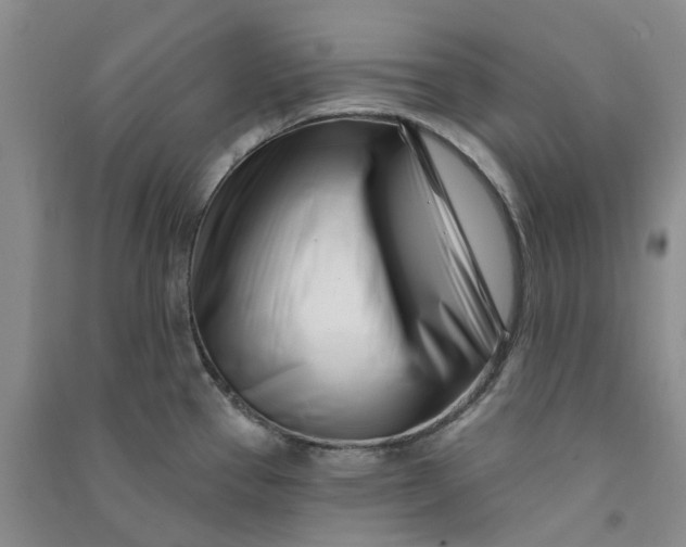 X0000090871337200708171618