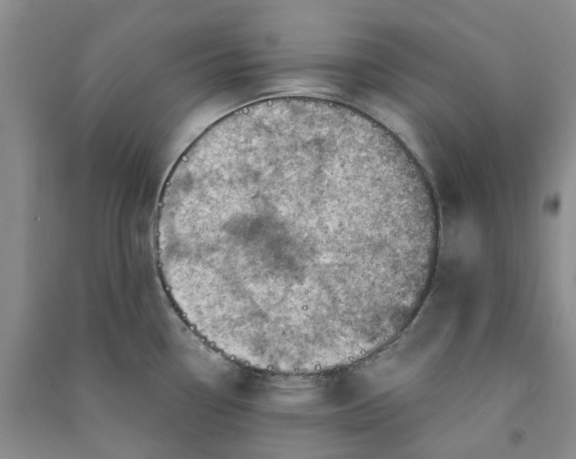 X0000090871338200708171618