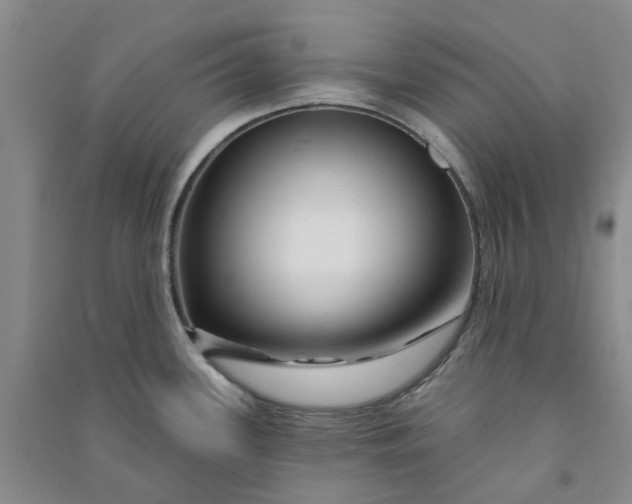 X0000090871339200708171618