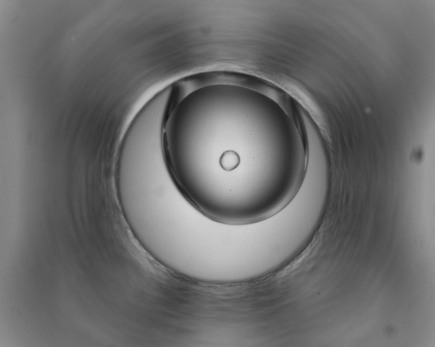 X0000090871340200708171618