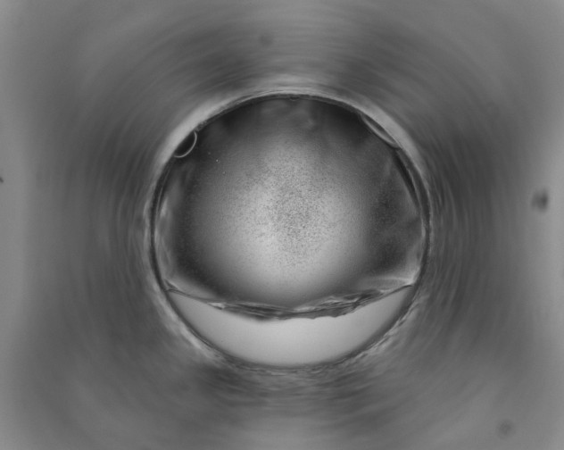 X0000090871341200708171618