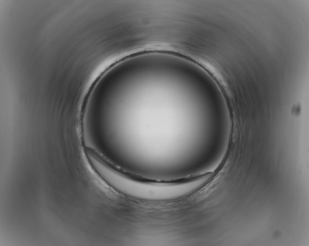 X0000090871342200708171618