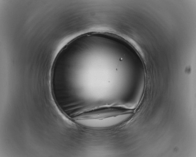 X0000090871343200708171618