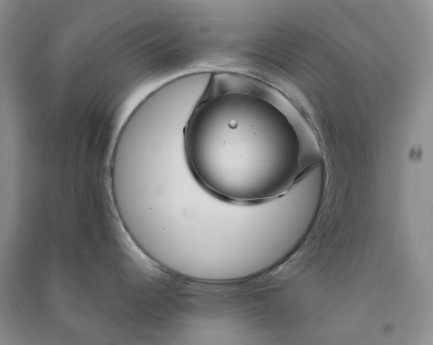 X0000090871344200708171618