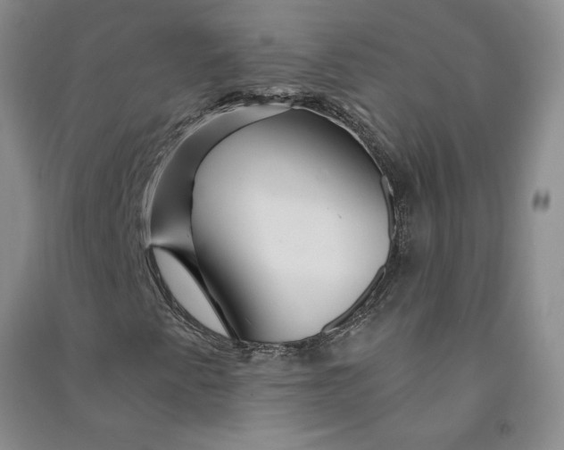 X0000090871345200708171617