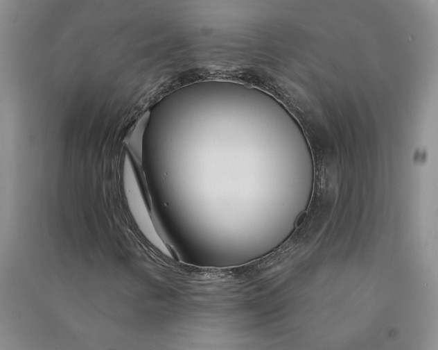 X0000090871346200708171617