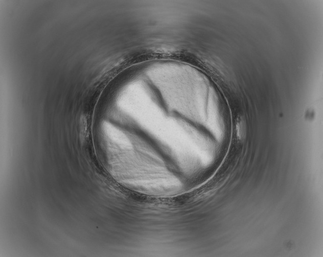 X0000090871347200708171617