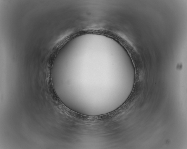 X0000090871350200708171617