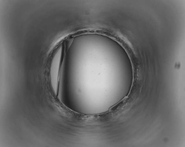 X0000090871352200708171617