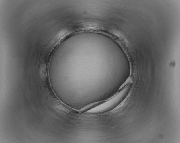 X0000090871353200708171617