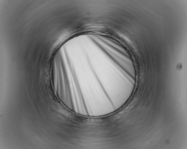 X0000090871354200708171617