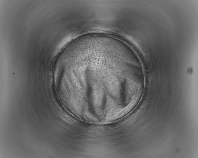 X0000090871355200708171617