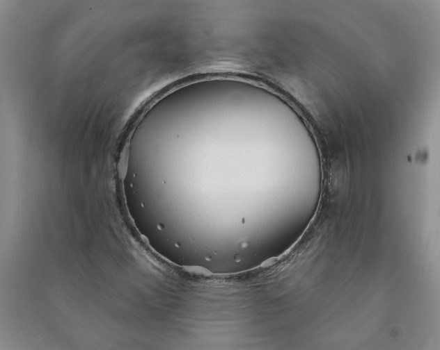 X0000090871356200708171617