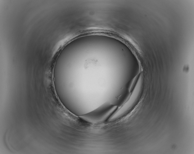 X0000090871357200708171617