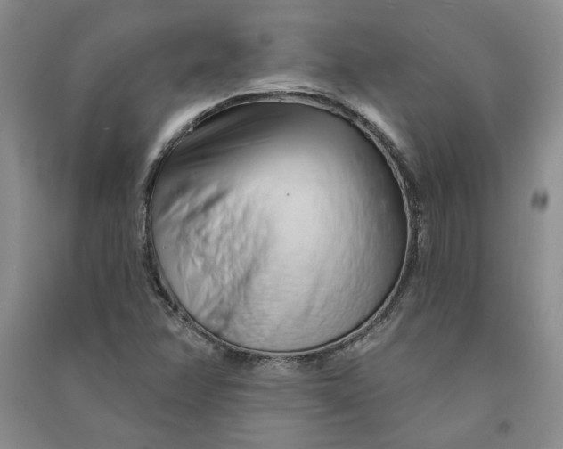 X0000090871358200708171617