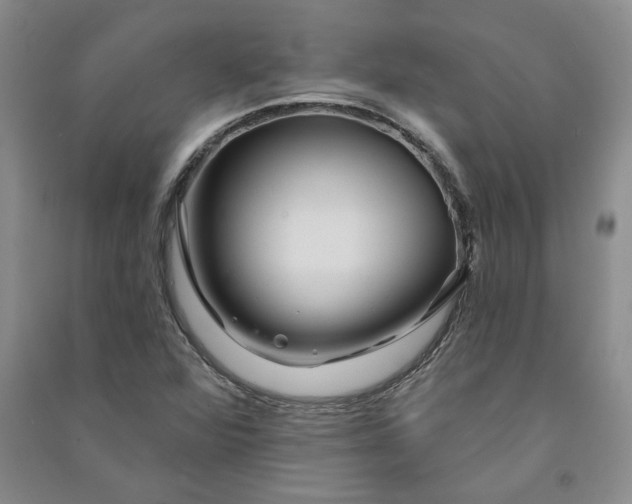 X0000090871360200708171617