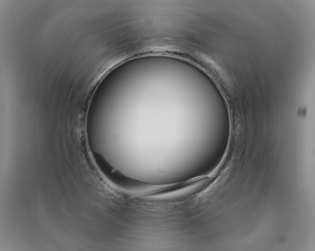 X0000090871361200708171617