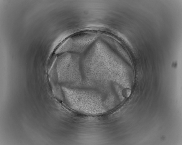 X0000090871362200708171617