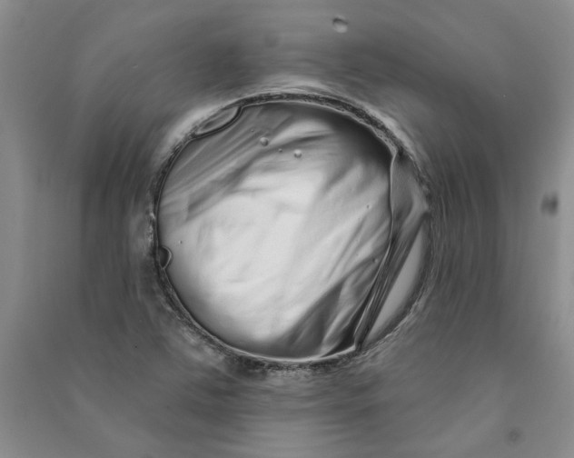 X0000090871363200708171617