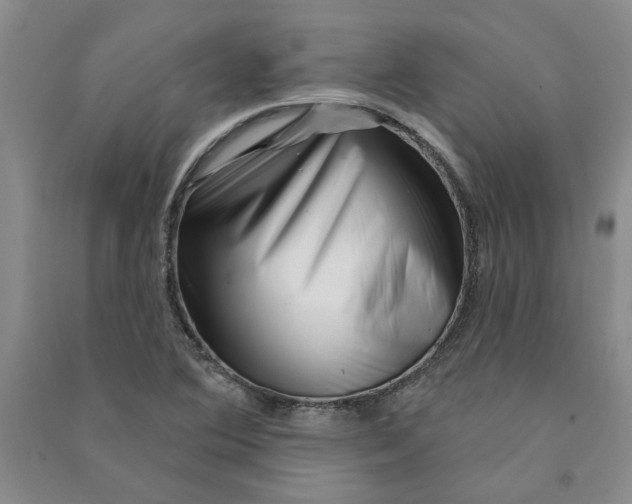 X0000090871364200708171617