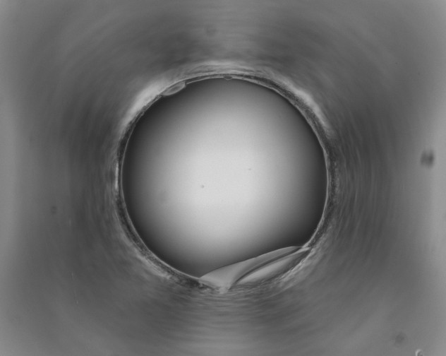 X0000090871365200708171617