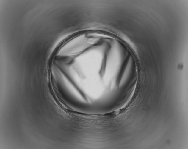 X0000090871368200708171617