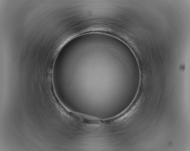 X0000090871369200708171617