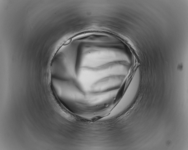 X0000090871371200708171617