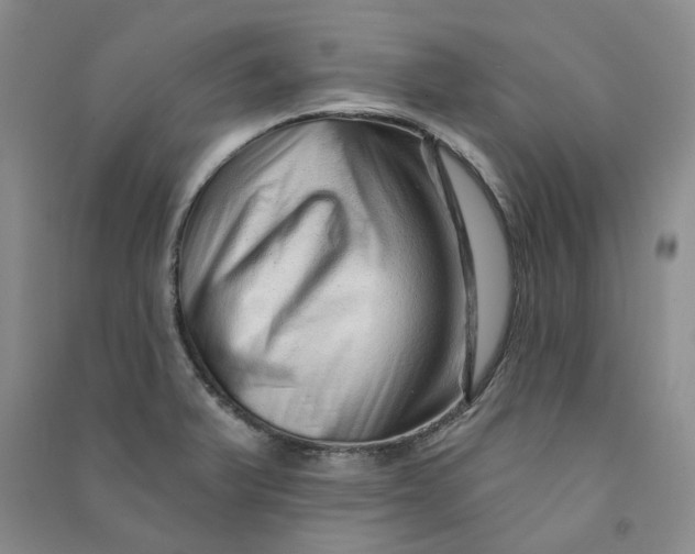 X0000090871375200708171616