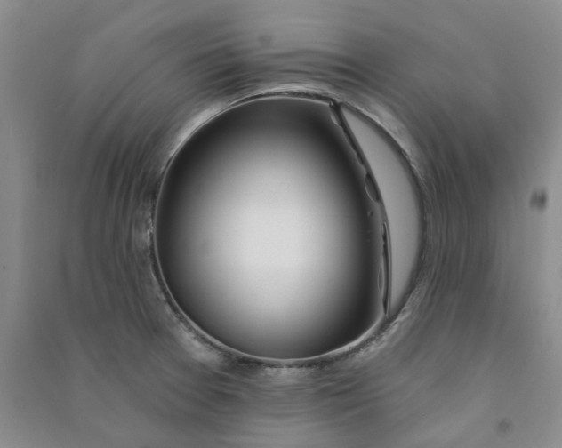 X0000090871377200708171616