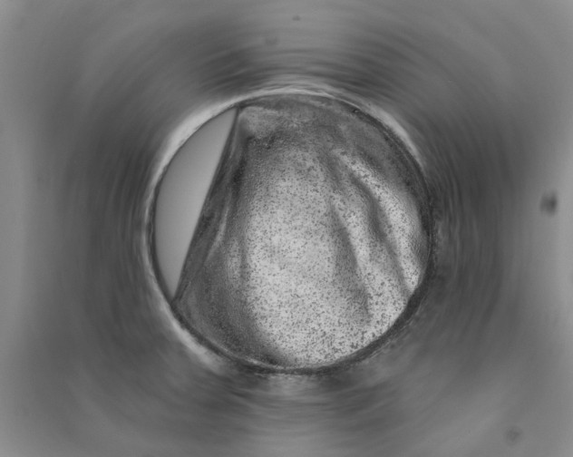 X0000090871379200708171616