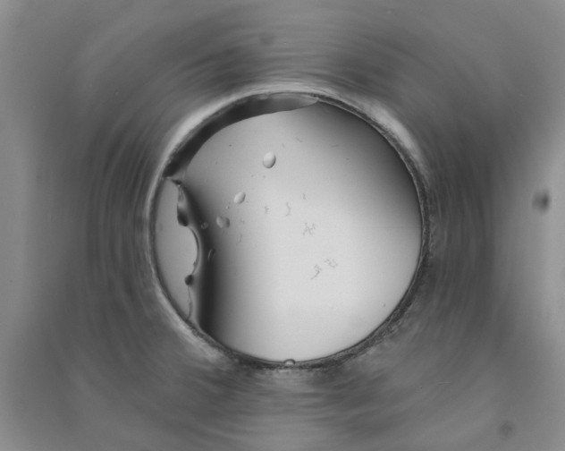 X0000090871380200708171616