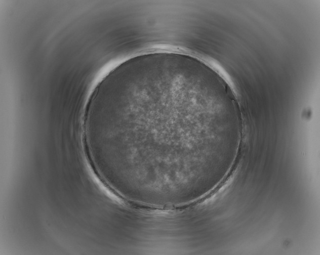 X0000090871381200708171616