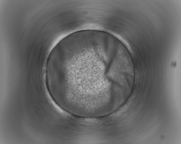 X0000090871383200708171616