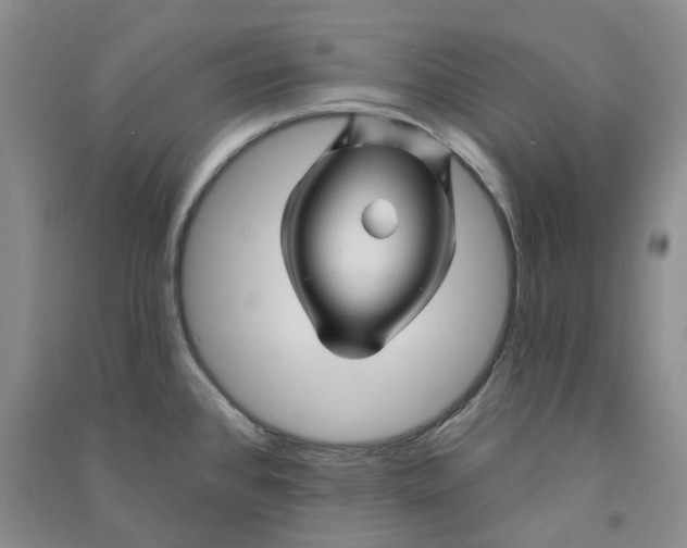 X0000090871384200708171616