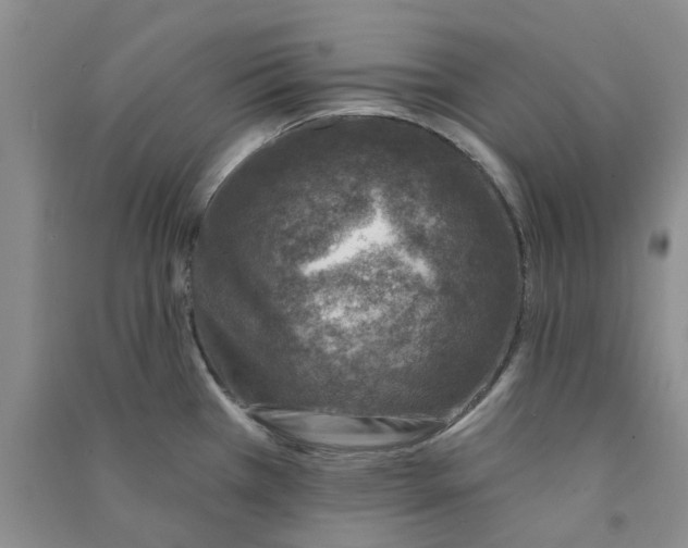 X0000090871385200708171616