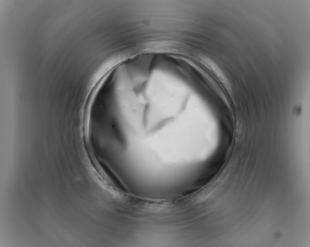 X0000090871386200708171616