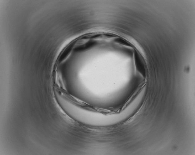 X0000090871388200708171616