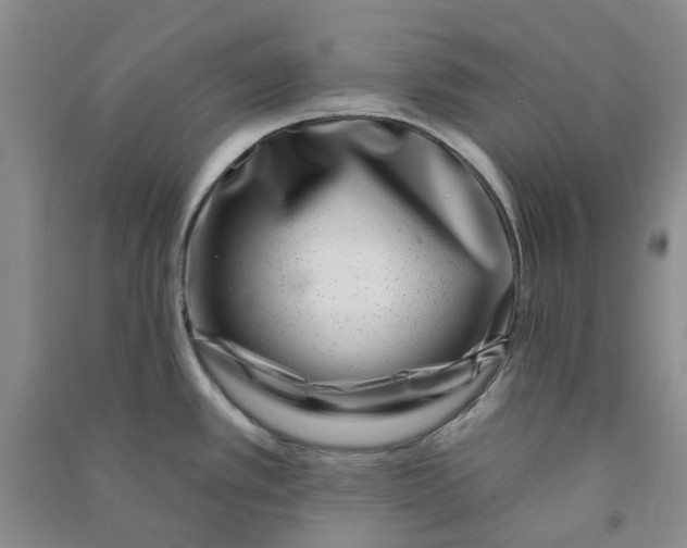 X0000090871389200708171616