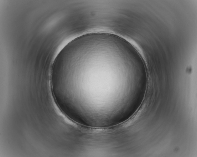 X0000090871390200708171616