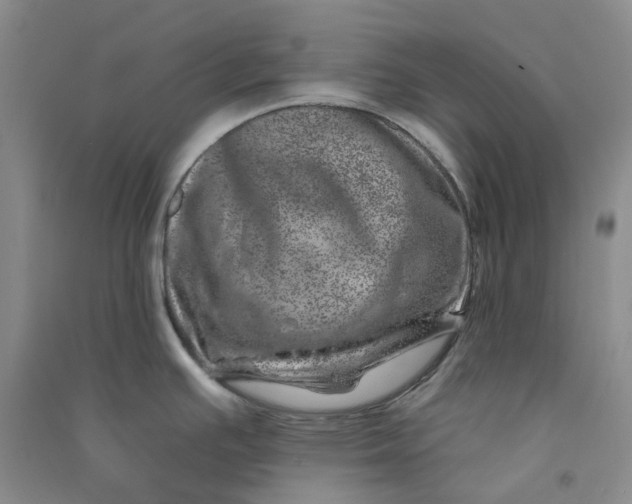 X0000090871391200708171616