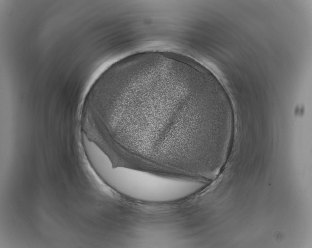 X0000090871392200708171616