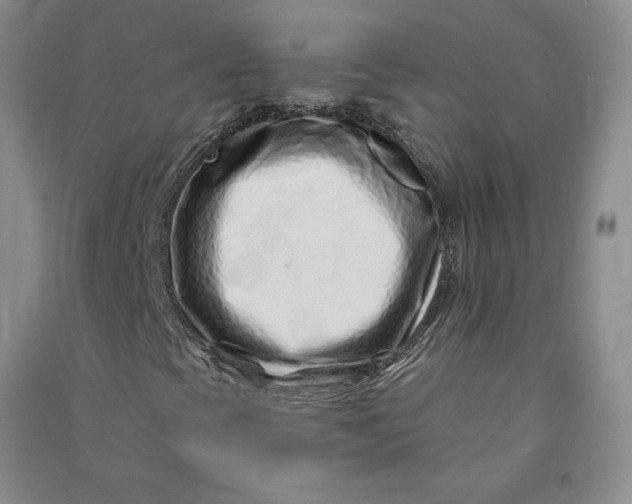 X0000090871393200708171616