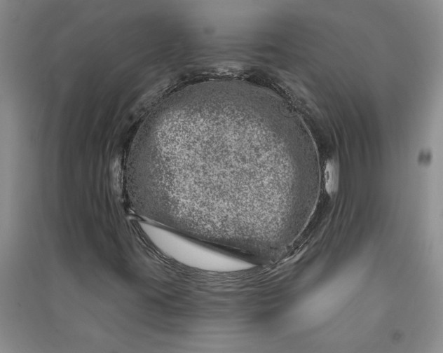 X0000090871395200708171616