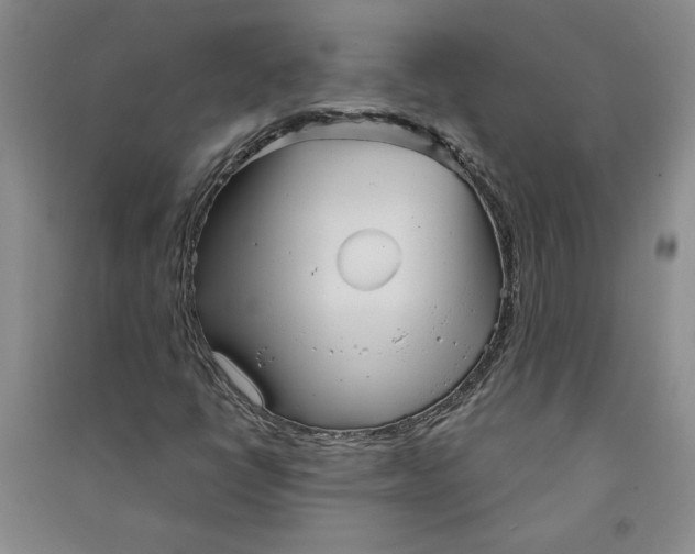 X0000090871398200708171616