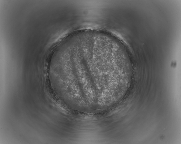 X0000090871399200708171616