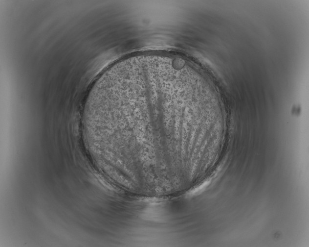 X0000090871401200708171616