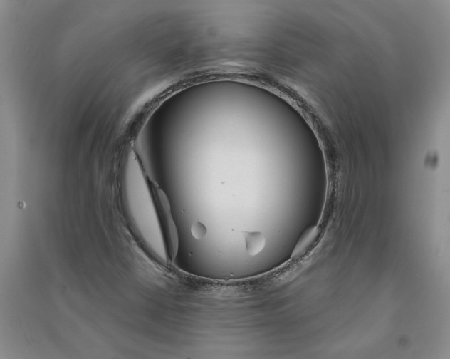 X0000090871402200708171616